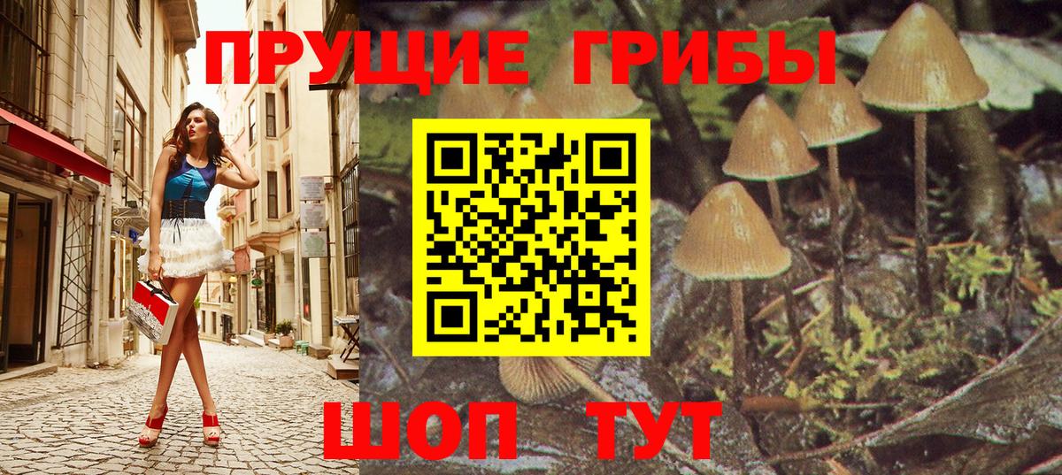 Псилоцибиновые грибы MAGIC MUSHROOMS Карпинск