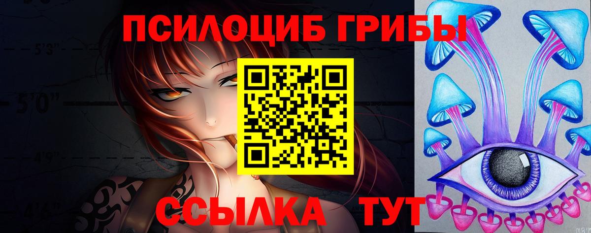 Карпинск  Галлюциногенные грибы Cubensis  закладка  Вход с VPN 